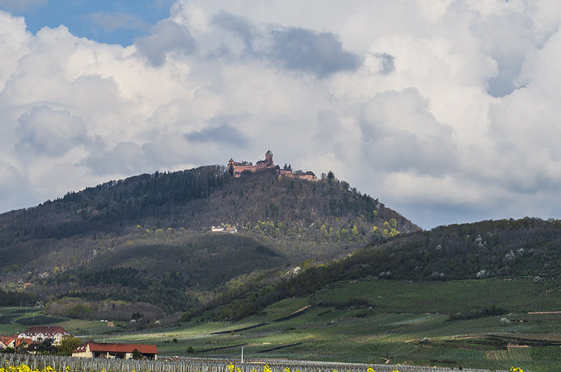 Château du Haut-Koenigsbourg
