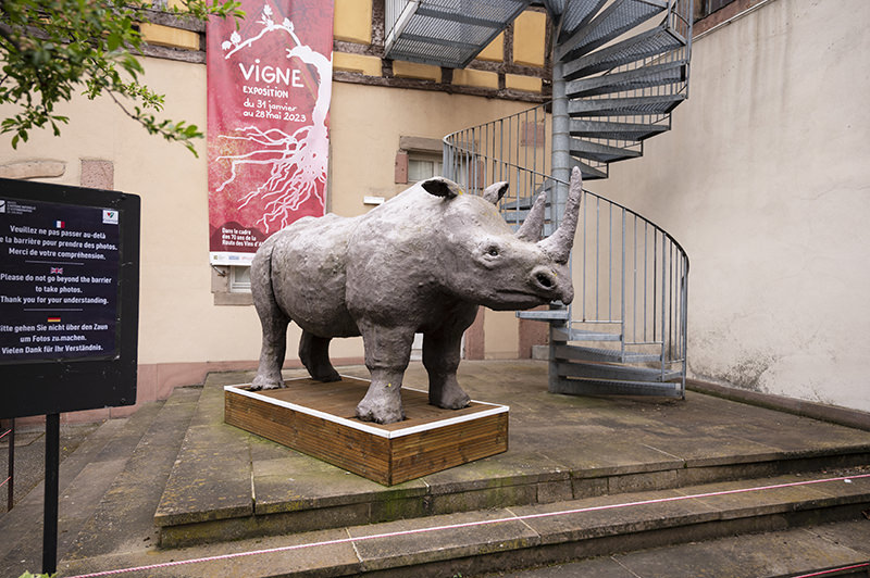 Naturgeschichtliches Museum
