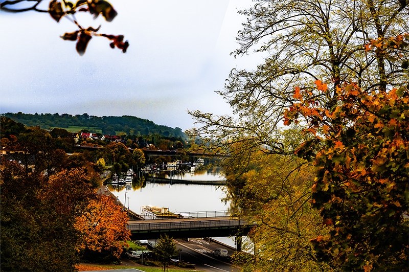 Mainufer Aschaffenburg Herbst
