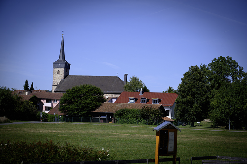 Wiese, Kirche, Bäume