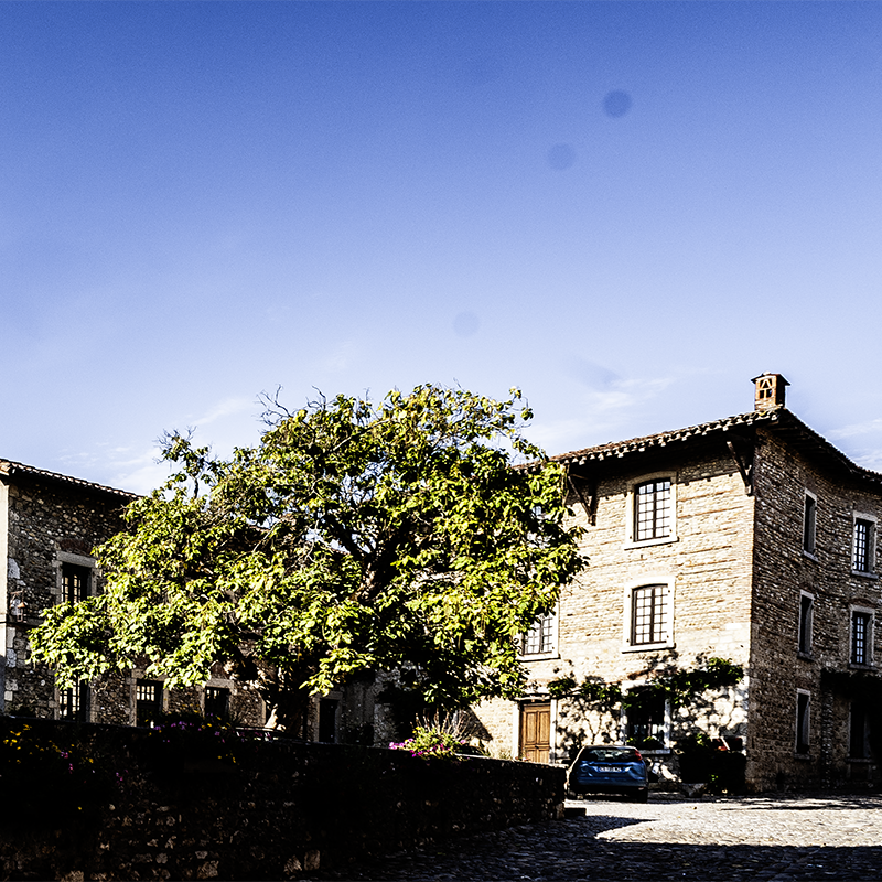 © Bert Schwarz 2017