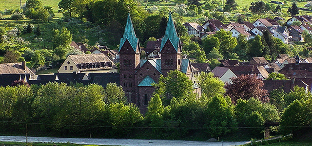 Bäume, Kloster, Neustadt | © Bert Schwarz 2024