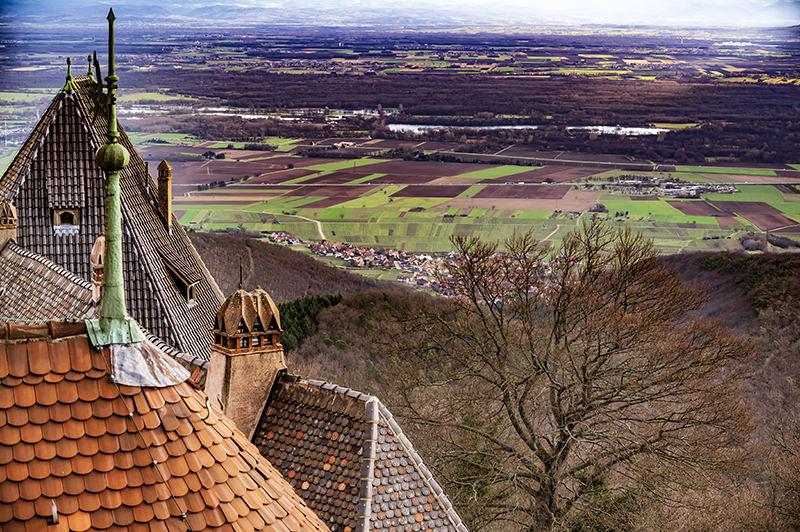 Blick über die Rheinebene