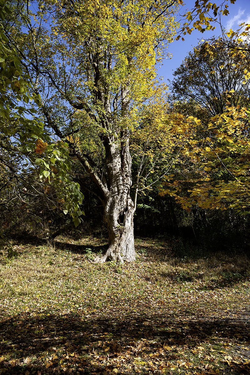 Impression Schlosspark