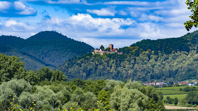 Burg, Burgtor, Wald | © Bert Schwarz 2014