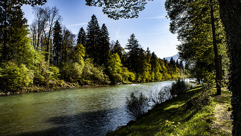 Fluss, Ufer, Bäume | © Bert Schwarz 2021