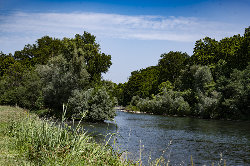 Fluss, Bäume, Sauveterre-de-Bearn | © Bert Schwarz 2025
