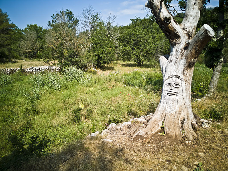 Landschaft Baume Obscure | © Bert Schwarz 2020