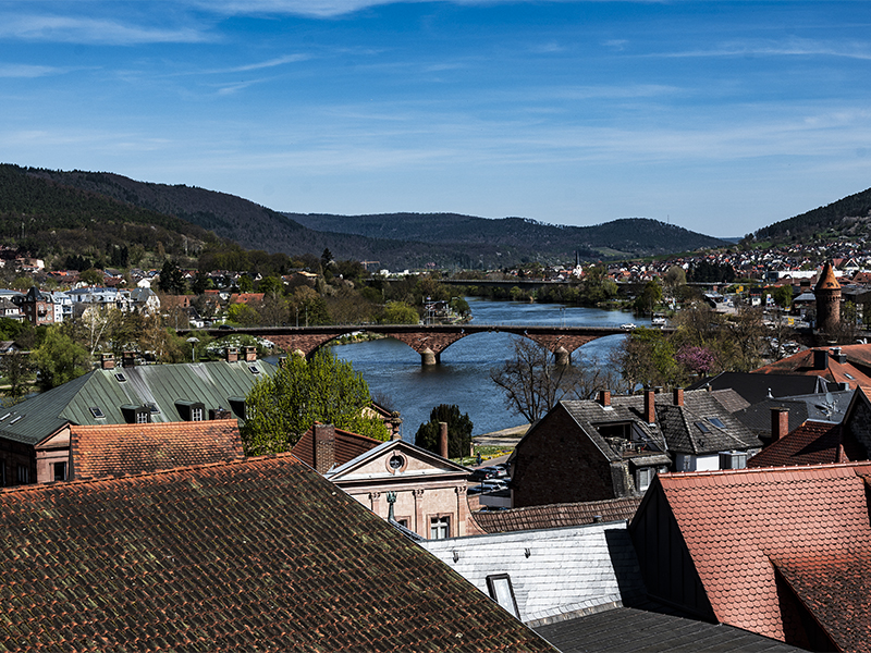 Blick über Miltenberg zum Spessart | © Bert Schwarz 2025