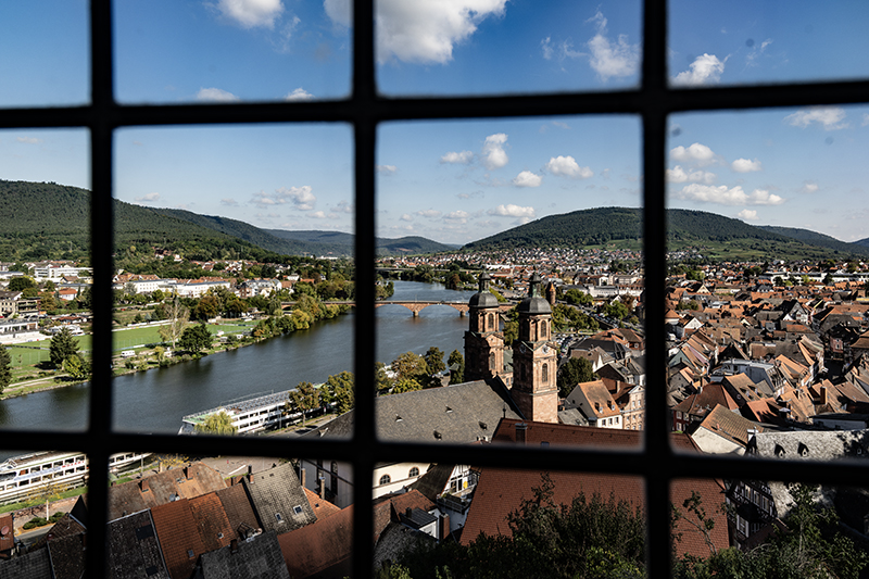 Blick über Miltenberg ins Maintal | © Bert Schwarz 2025