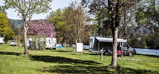 Campingplatz, Bäume, Wohnwagen | © Bert Schwarz 2025
