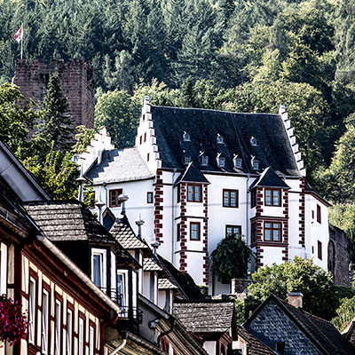 Die Burg vor Felsen und Wald, Miltenberg | © Bert Schwarz 2025