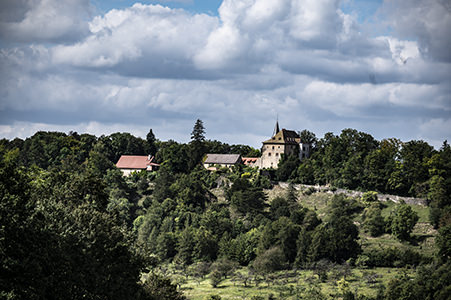 Auf einem bewaldeten Hügel sitz die Burg Brandenstein | © Bert Schwarz 2024