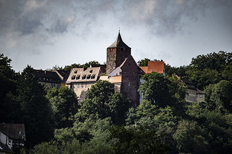 Auf einem Felsen über dem Main sitz eine alte Schutzburg zwischen Bäumen | © Bert Schwarz 2021