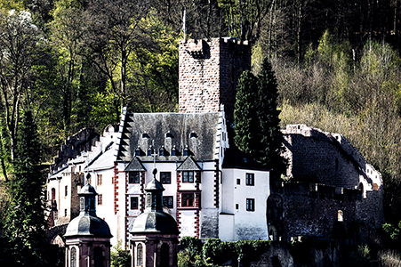 Die Burg vor bewaldetem Berg gewährt einen Blick über die Grenzen des Lebens und der Welt | © Bert Schwarz 2025