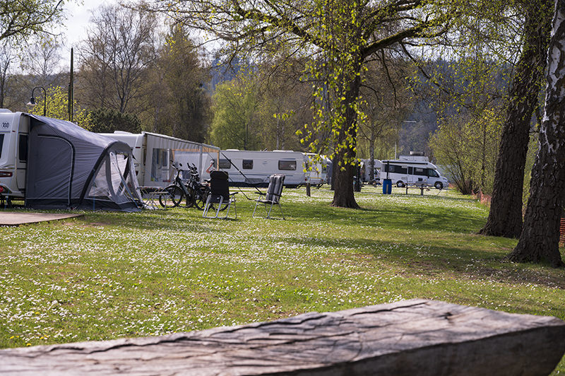 Mainufer Wertheim