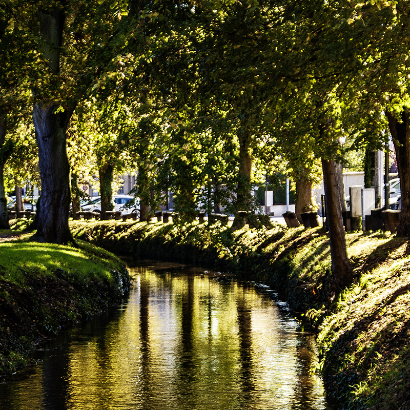 Alter Salzspeicher, Motorräder, Baum, Wissembourg | © Bert Schwarz 2019