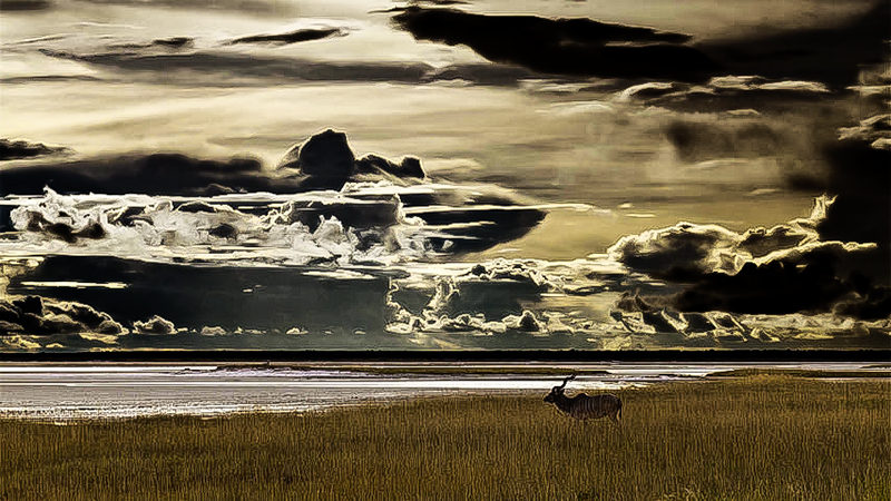 Etosha National Park