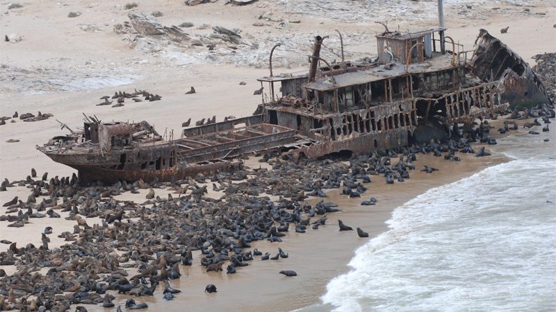 Namib, Skeletton Coast