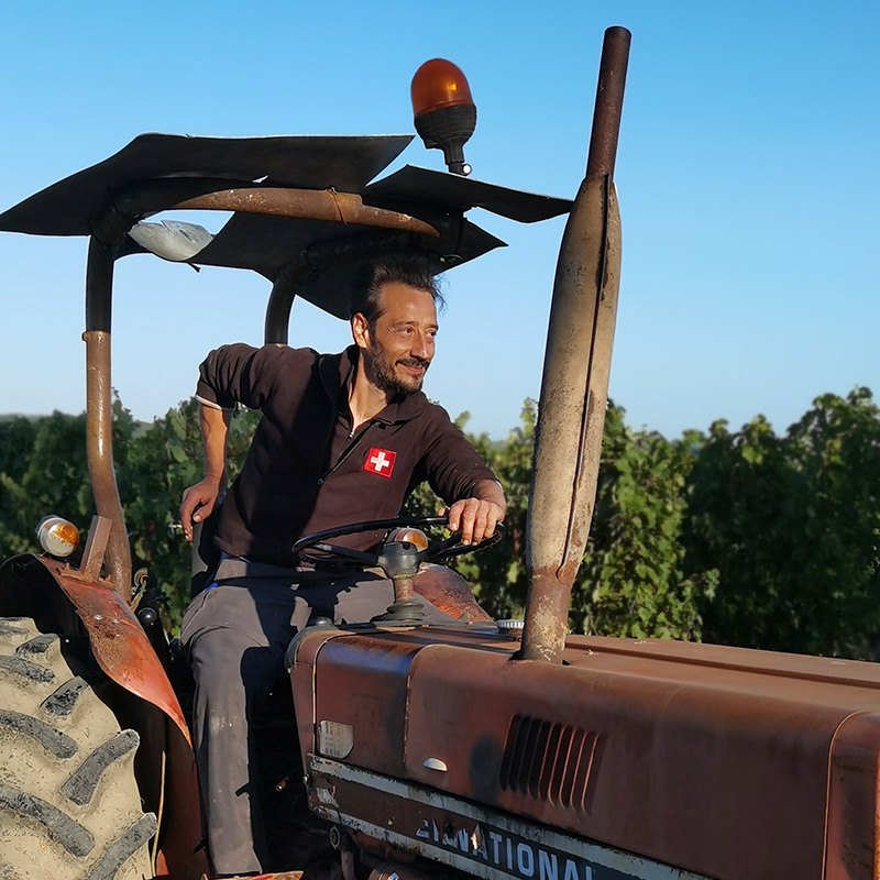 Traktor, Weinreben, Mann | © Bert Schwarz 2020