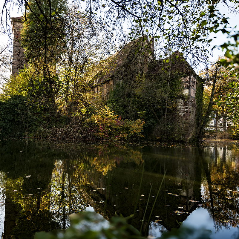 Schloss, See, Park | © Bert Schwarz 2024