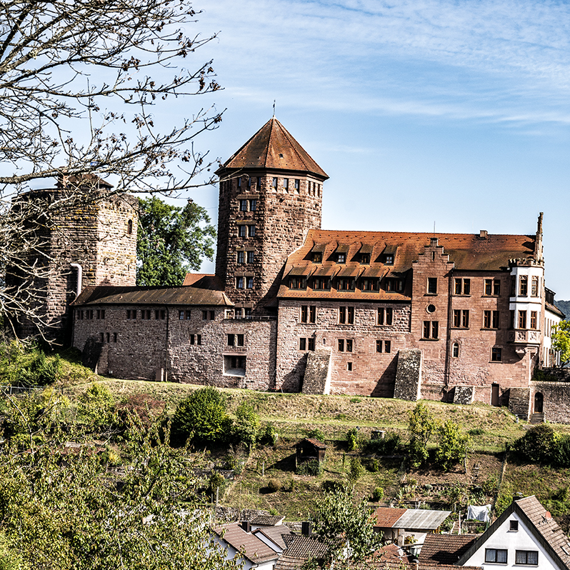 Schloss, See, Wald | © Bert Schwarz 2024
